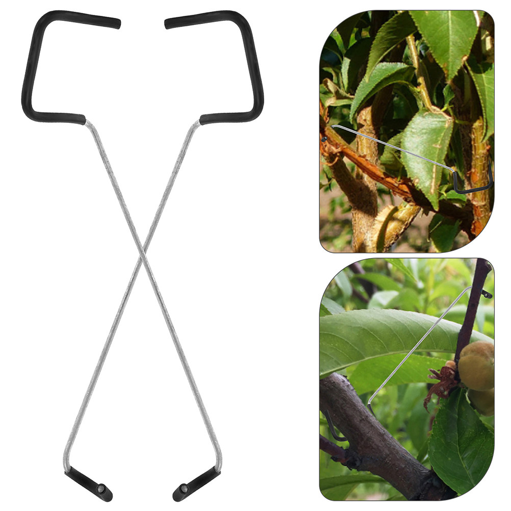 Bonsai Branch Trunk Trainer 10 - Bonsai Garden Tree のレビューと価格