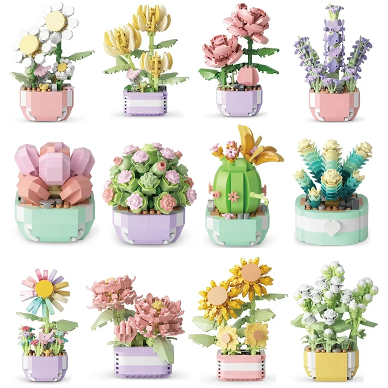 Flower Succulents Building Blo - Bonsai Garden Kit のレビューと価格