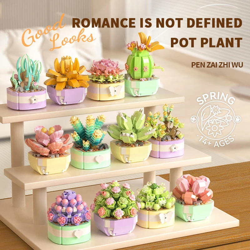 Flower Succulents Building Blo - Bonsai Garden Kit のレビューと価格