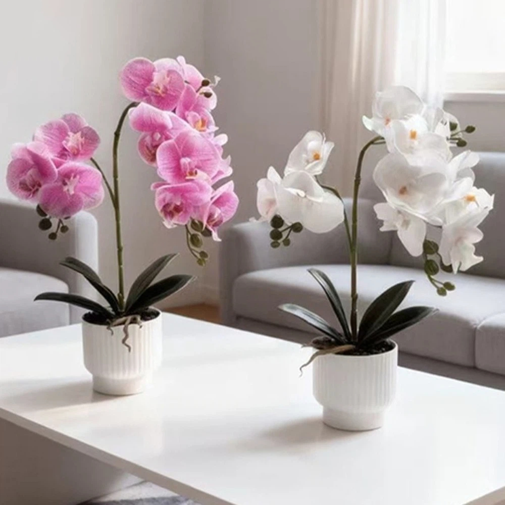 Multi-Bloom Simulated Butterfl - Bonsai Garden Kit のレビューと価格
