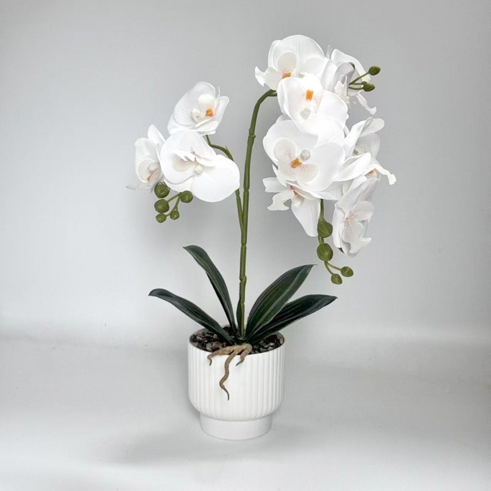 Multi-Bloom Simulated Butterfl - Bonsai Garden Kit のレビューと価格