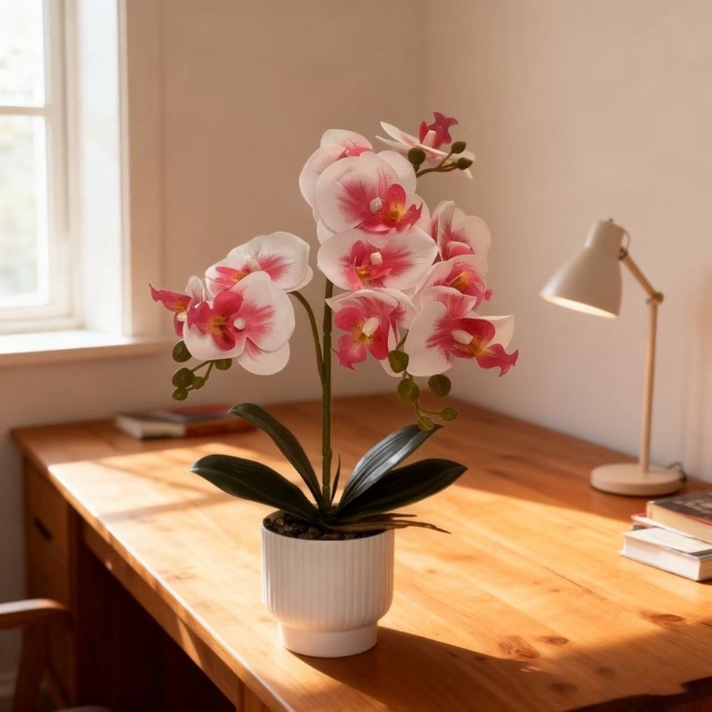 Multi-Bloom Simulated Butterfl - Bonsai Garden Kit のレビューと価格