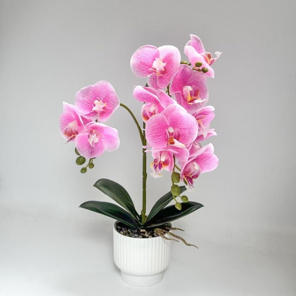 Multi-Bloom Simulated Butterfl - Bonsai Garden Kit のレビューと価格