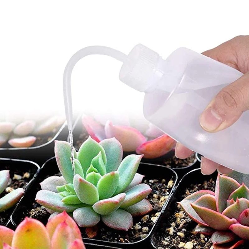 13Pcs Garden Planter Kit DIY S - Bonsai Garden Kit のレビューと価格