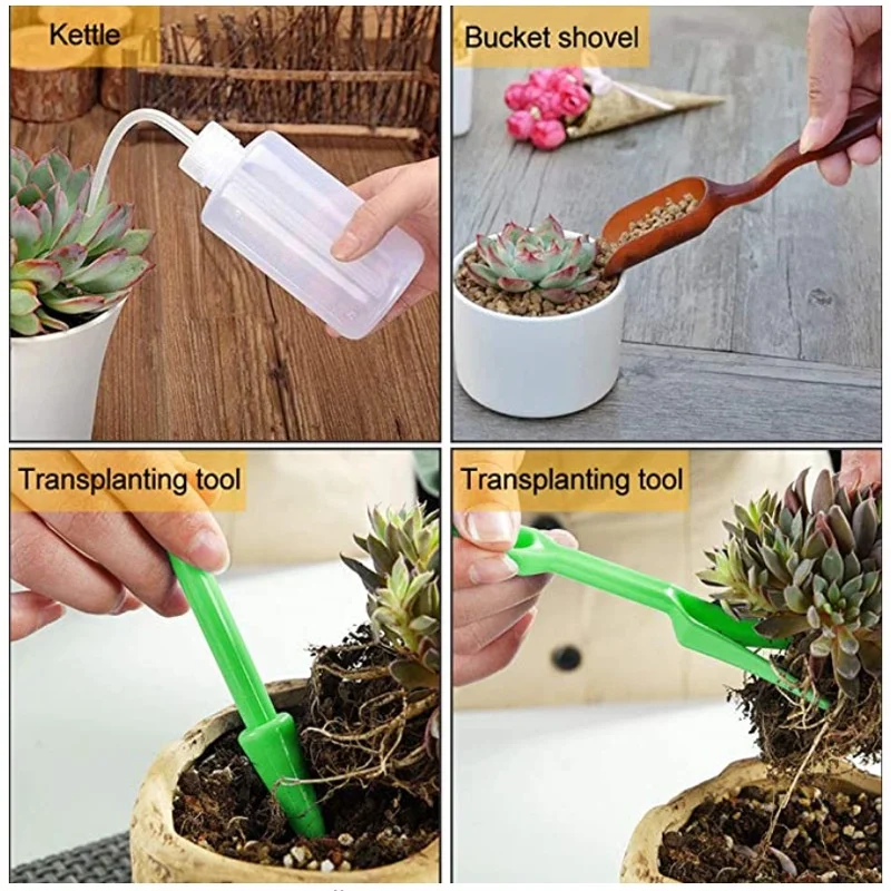 13Pcs Garden Planter Kit DIY S - Bonsai Garden Kit のレビューと価格
