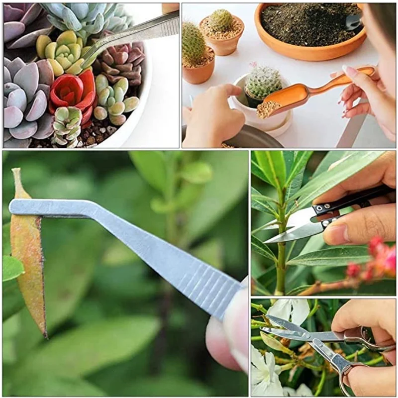 13Pcs Garden Planter Kit DIY S - Bonsai Garden Kit のレビューと価格