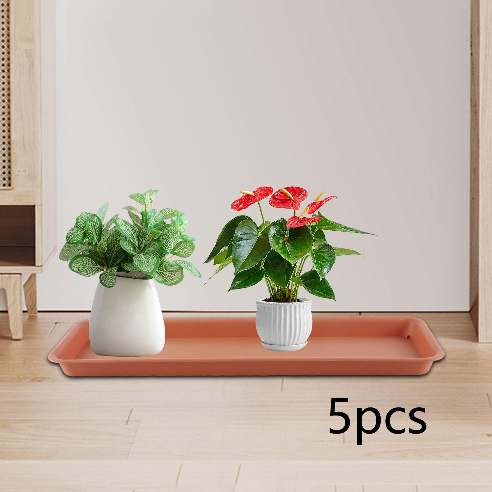 High Flower Pot for the Terrac - Drip Tray Saucer のレビューと価格
