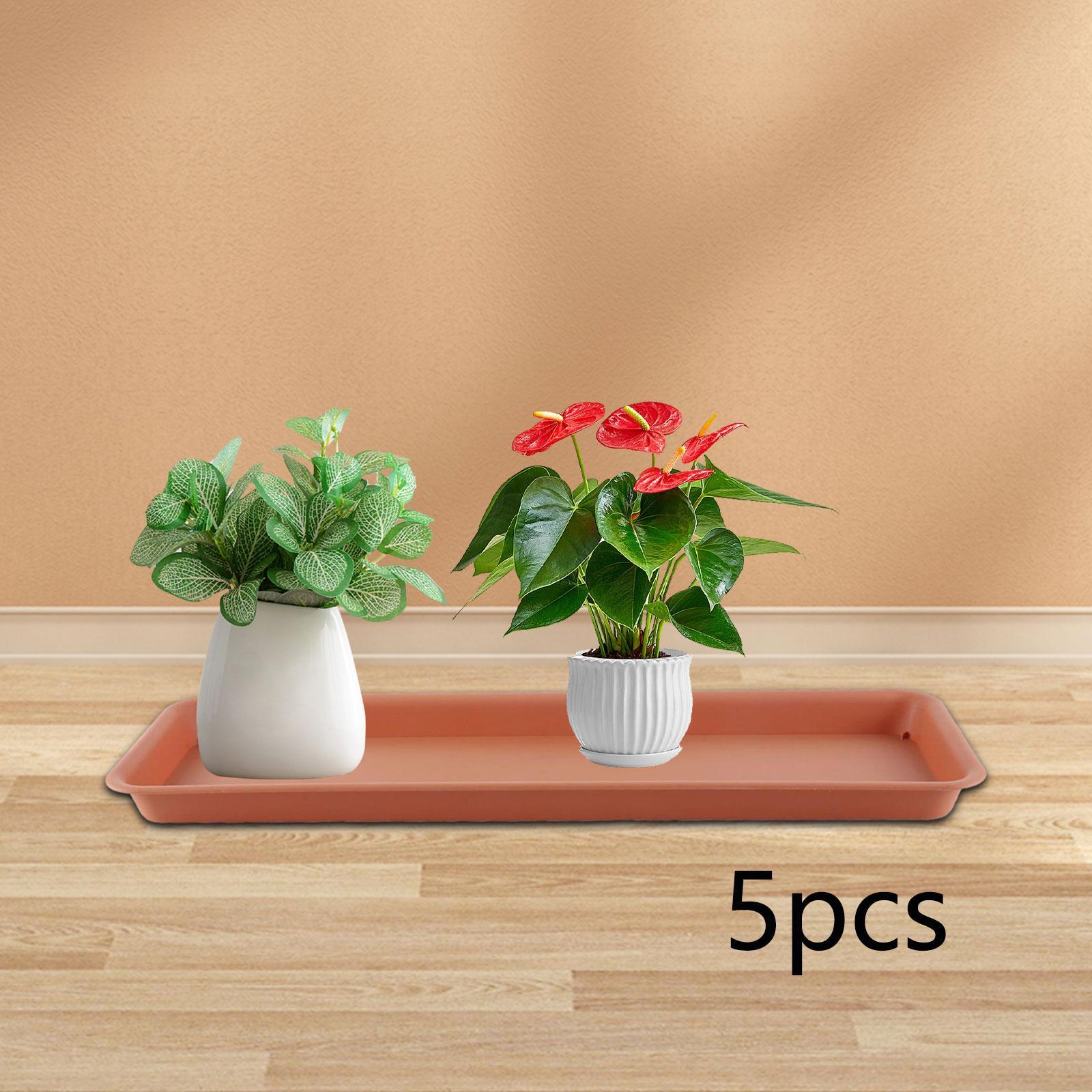 High Flower Pot for the Terrac - Drip Tray Saucer のレビューと価格
