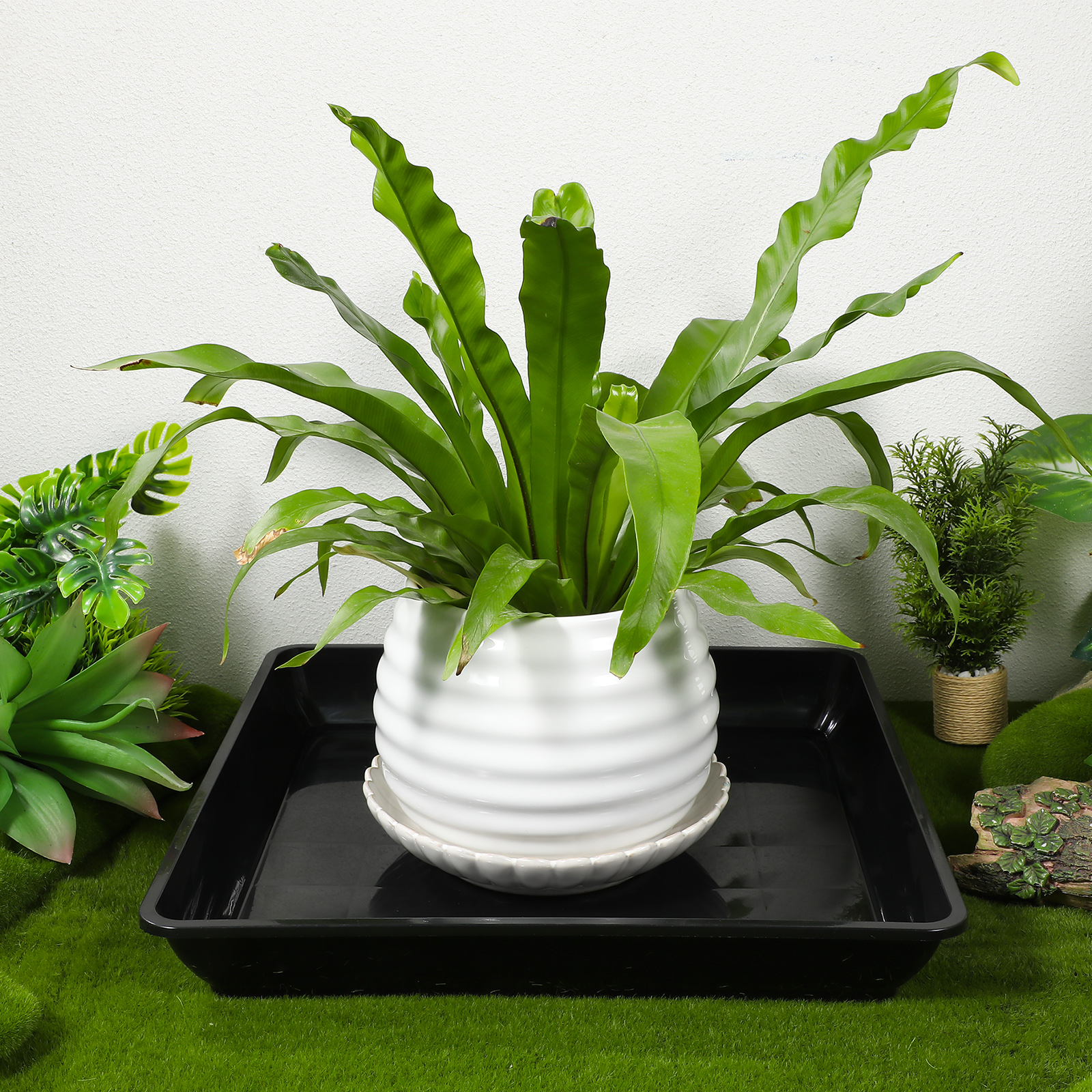 2pcs Flowerpot Saucer Plant Tr - Drip Tray Saucer のレビューと価格
