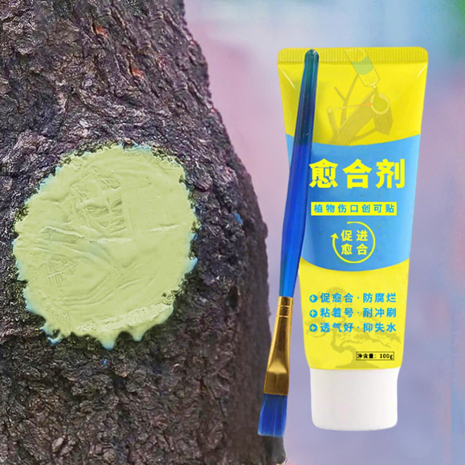 100g Tree Wound Bonsai Cut Pas - Bonsai Garden Tree のレビューと価格