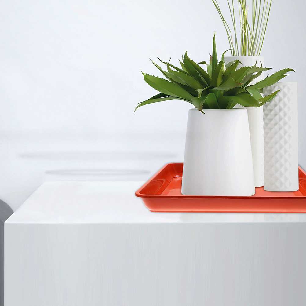 2Pcs Flat Bottom Resin Plant S - Drip Tray Saucer のレビューと価格