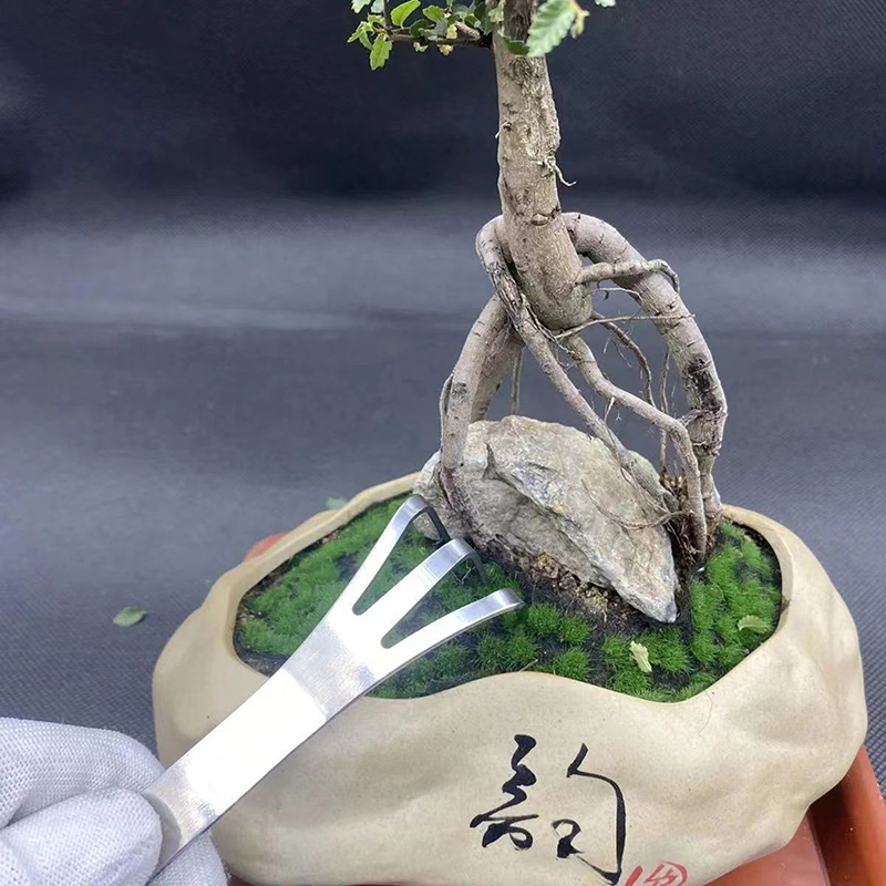 1Pc Stainless Steel Root Rake  - Bonsai Garden Tree のレビューと価格