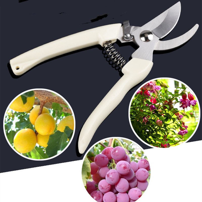 Pruner Orchard and The Garden  - Us Bonsai Garden のレビューと価格