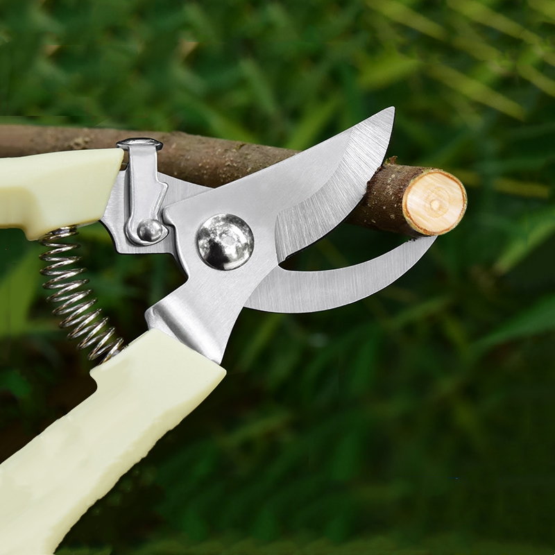 Pruner Orchard and The Garden  - Us Bonsai Garden のレビューと価格