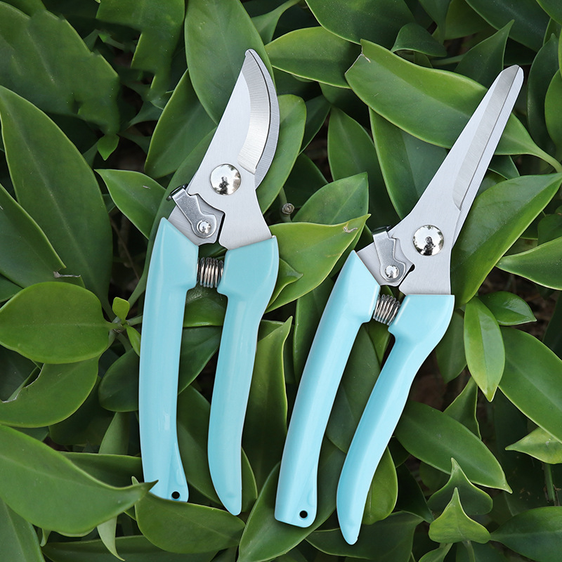 Pruner Orchard and The Garden  - Us Bonsai Garden のレビューと価格