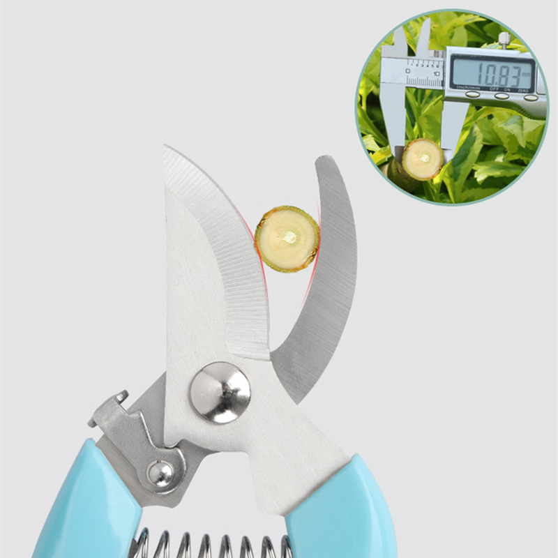 Pruner Orchard and The Garden  - Us Bonsai Garden のレビューと価格