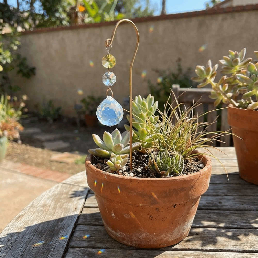 Reflective Crystal Garden Stak - Bonsai Garden Kit のレビューと価格
