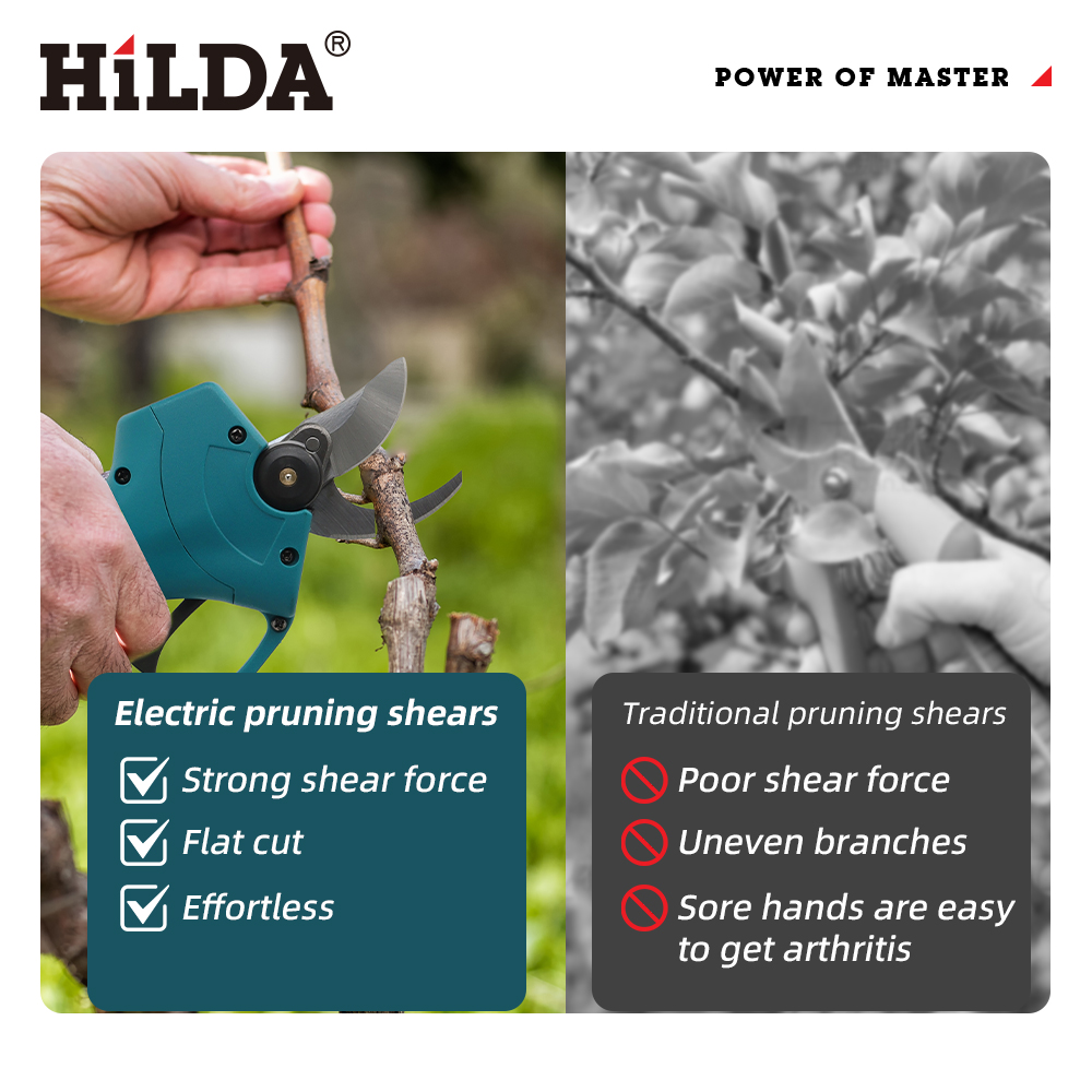 HILDA 18V Brushless Cordless E - Bonsai Garden Tree のレビューと価格