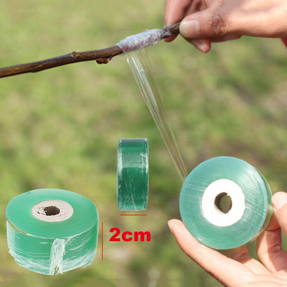 Roll Grafting Tape Garden Tool - Bonsai Garden Tree のレビューと価格