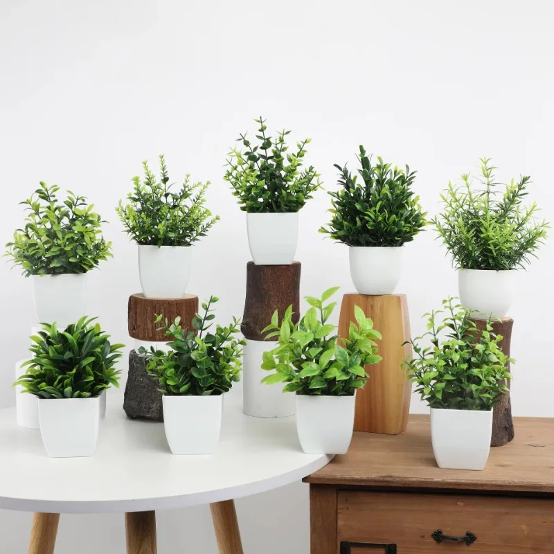 Wholesale OEM/ODM Artificial M - Bonsai Garden Kit のレビューと価格