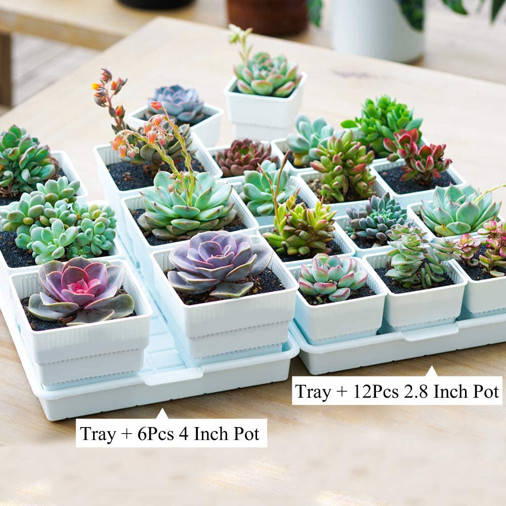 Meshpot Square Plastic Basin T - Drip Tray Saucer のレビューと価格