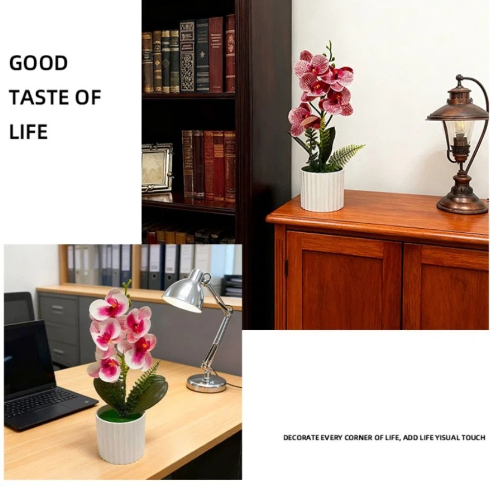 Multi-Bloom Simulated Butterfl - Bonsai Garden Kit のレビューと価格