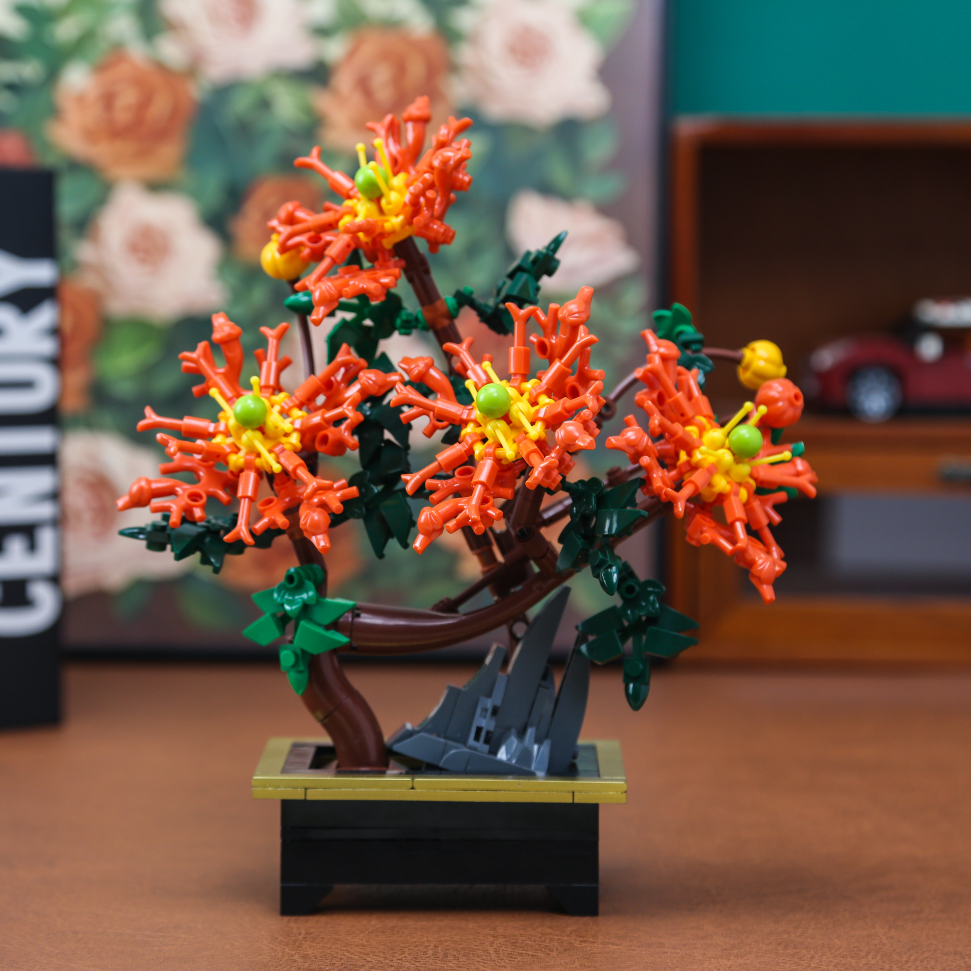 Dragon Claw Chrysanthemum Bons - Bonsai Garden Kit のレビューと価格