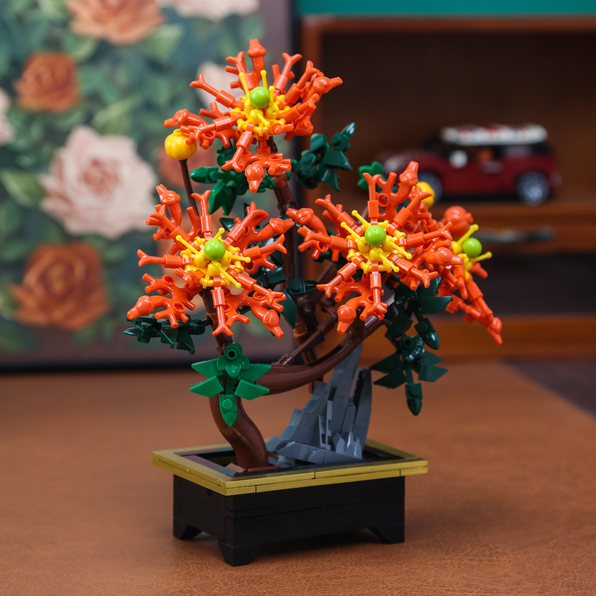 Dragon Claw Chrysanthemum Bons - Bonsai Garden Kit のレビューと価格