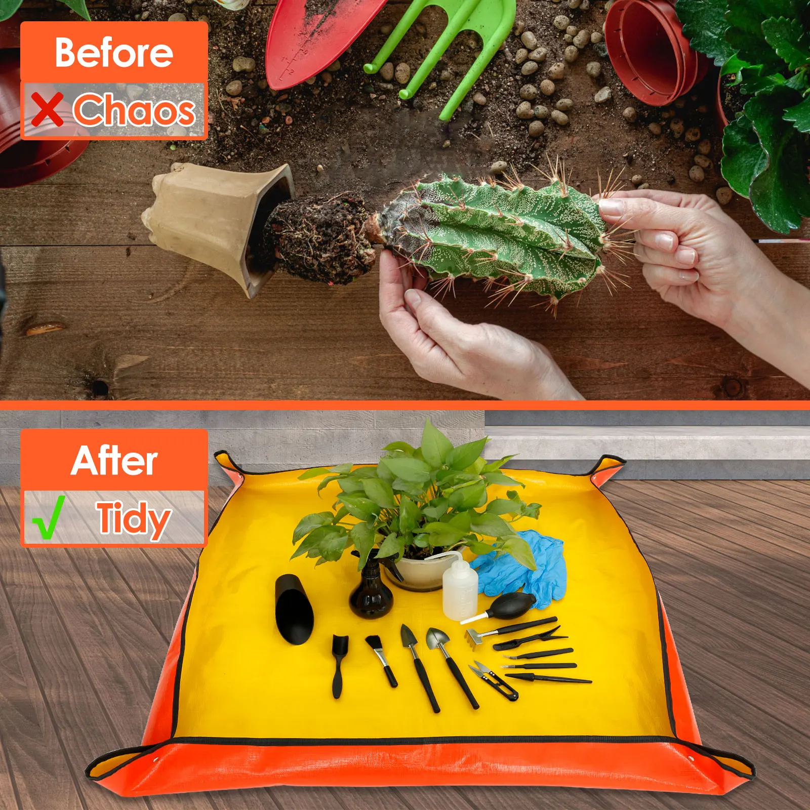 13/16Pcs Garden Succulent Plan - Bonsai Garden Kit のレビューと価格