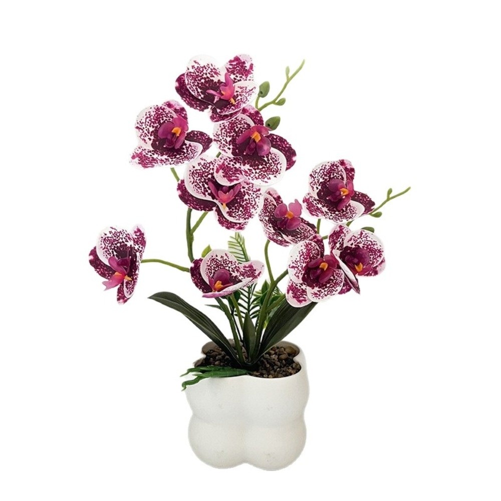Multi-Bloom Simulated Butterfl - Bonsai Garden Kit のレビューと価格