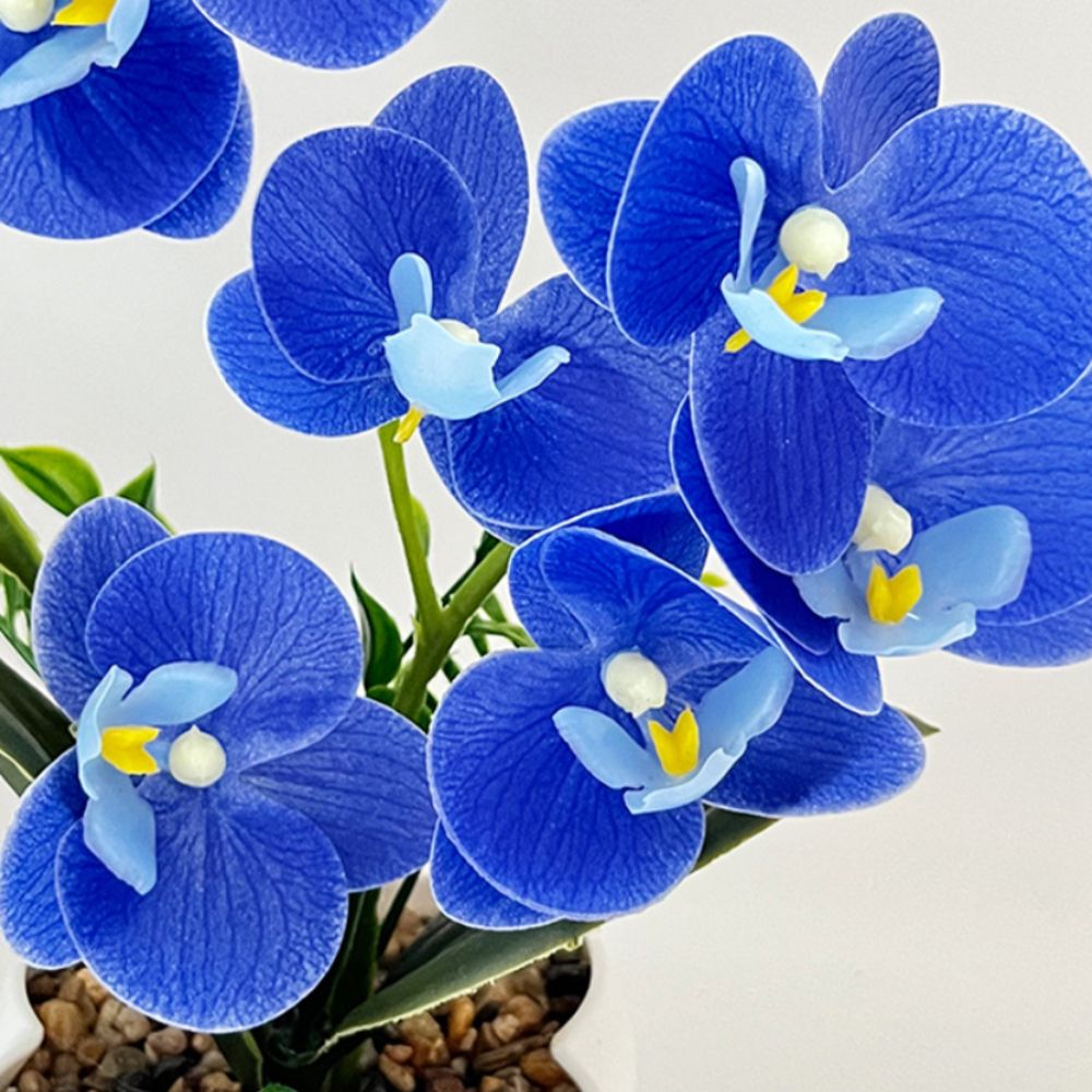 Multi-Bloom Simulated Butterfl - Bonsai Garden Kit のレビューと価格