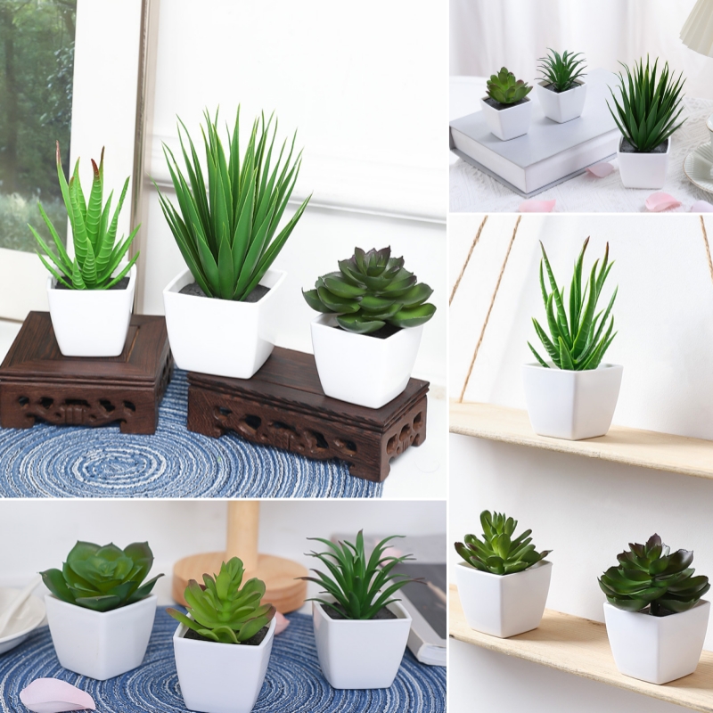 (A set of 3PCS) Simulated Mini - Bonsai Garden Kit のレビューと価格