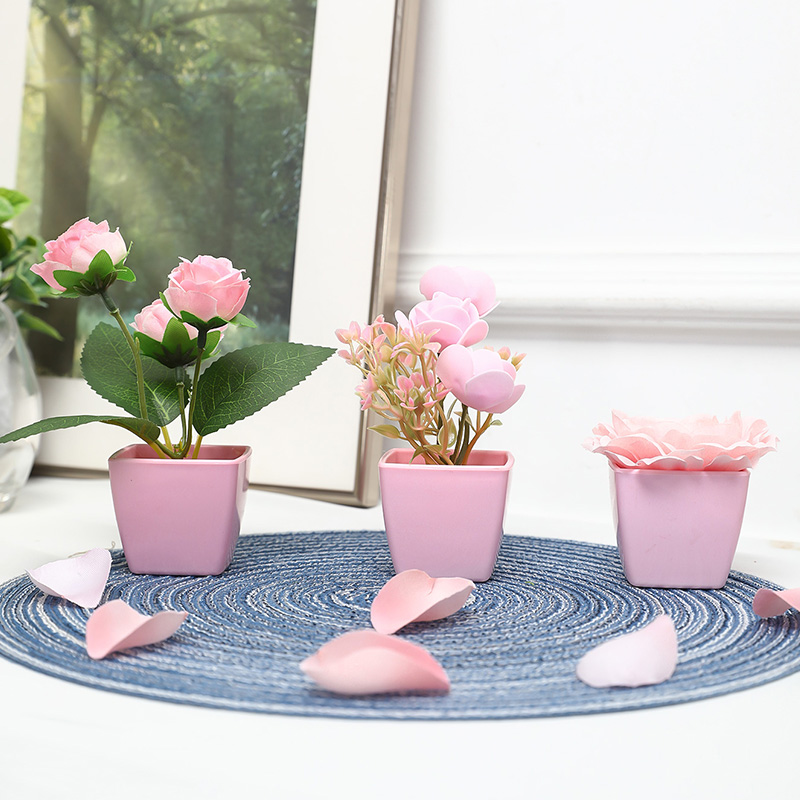 (A set of 3PCS) Simulated Mini - Bonsai Garden Kit のレビューと価格