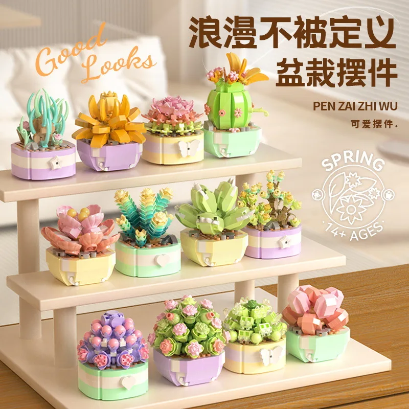Flower Succulents Building Blo - Bonsai Garden Kit のレビューと価格