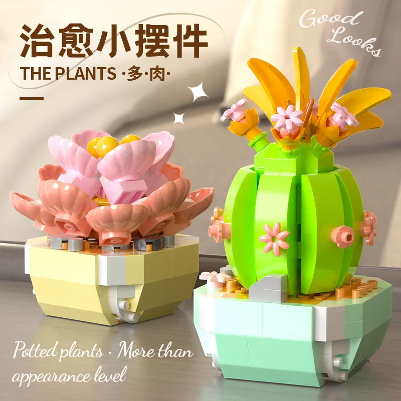 Flower Succulents Building Blo - Bonsai Garden Kit のレビューと価格