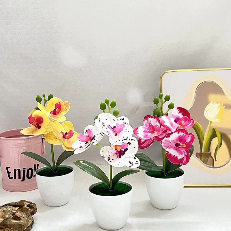 1Pcs 20CM Simulation Plants Po - Bonsai Garden Kit のレビューと価格