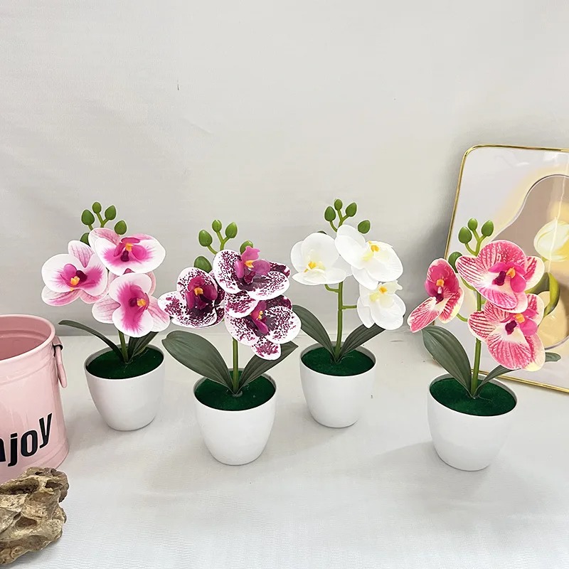 1Pcs 20CM Simulation Plants Po - Bonsai Garden Kit のレビューと価格