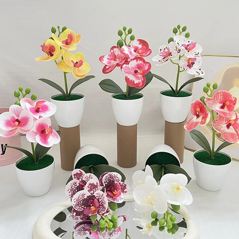 1Pcs 20CM Simulation Plants Po - Bonsai Garden Kit のレビューと価格