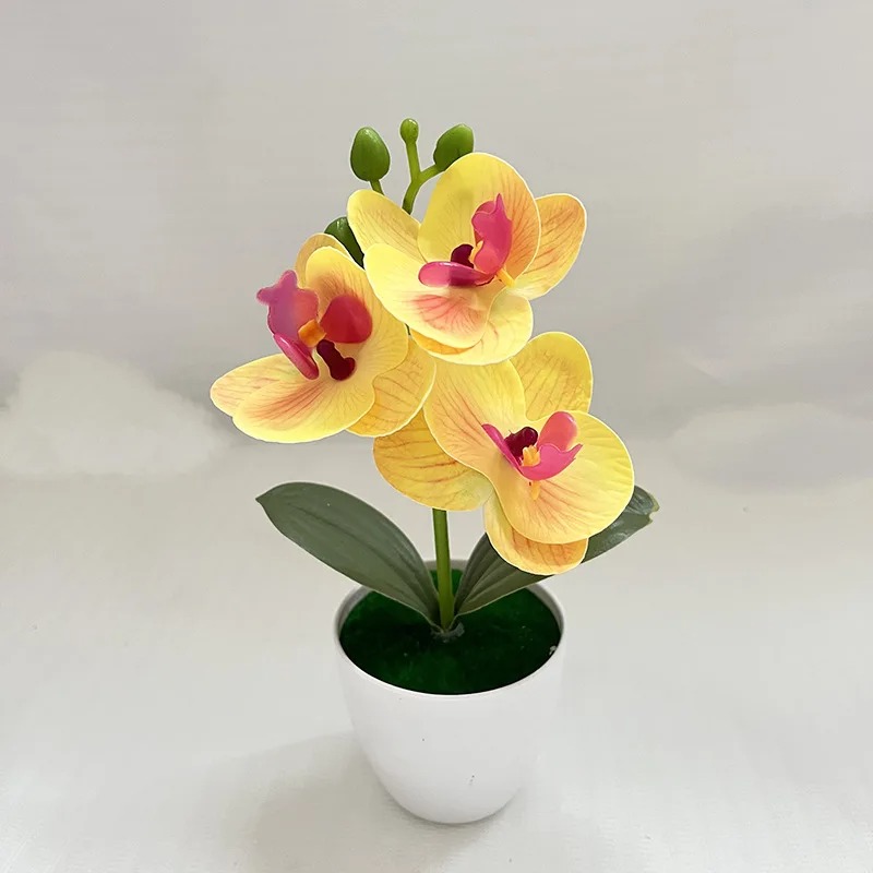 1Pcs 20CM Simulation Plants Po - Bonsai Garden Kit のレビューと価格