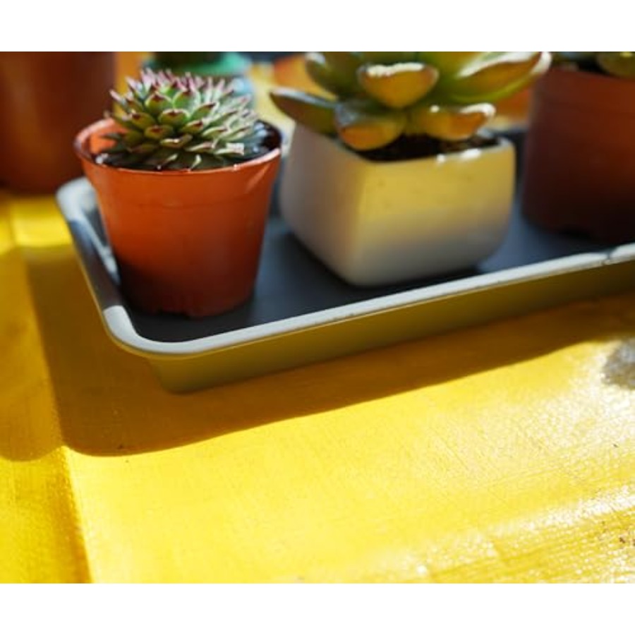 2 Pack of Plastic Plant Tray S - Drip Tray Saucer のレビューと価格