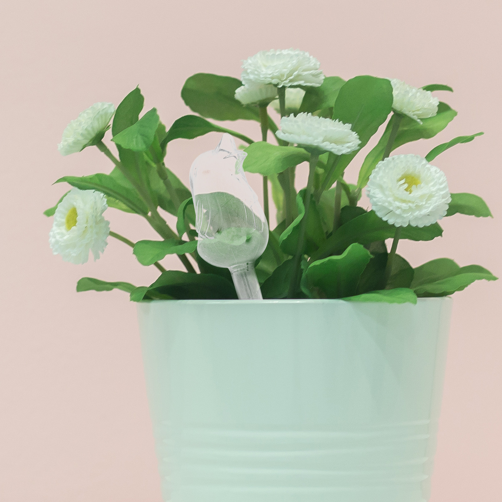 Glass Self-Watering Globes Aut - Us Bonsai Garden のレビューと価格