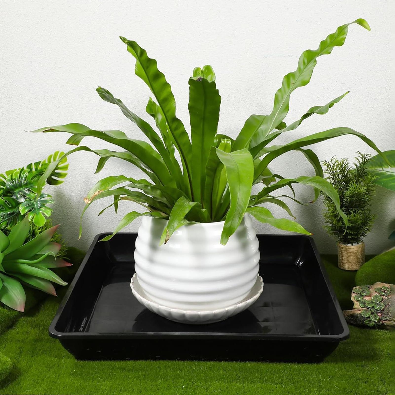 2 Pcs Flower Pot Base Thickene - Drip Tray Saucer のレビューと価格