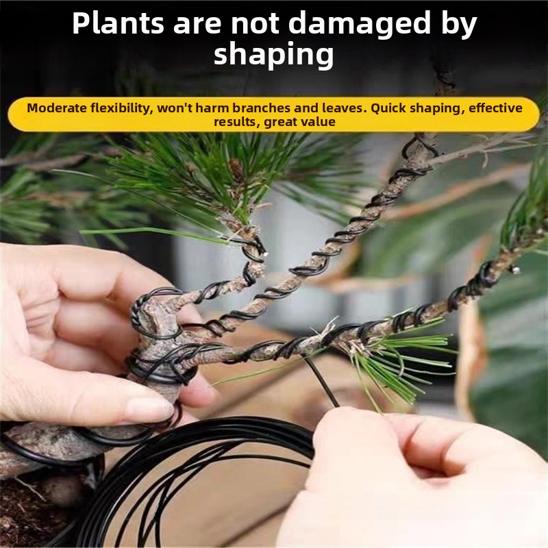 1.5MM Bonsai Wires Aluminum Bo - Us Bonsai Garden のレビューと価格