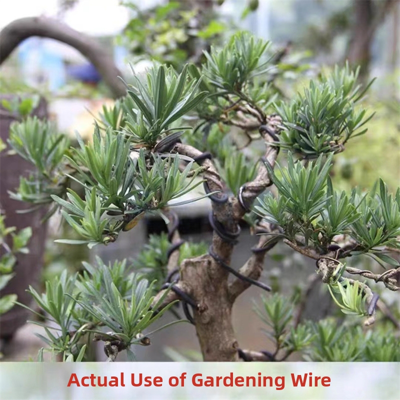 1.5MM Bonsai Wires Aluminum Bo - Us Bonsai Garden のレビューと価格
