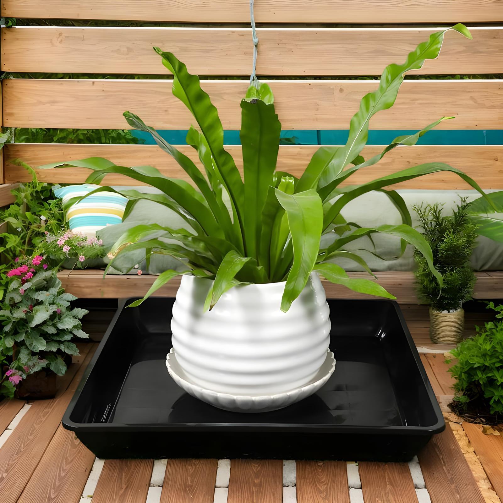 Plant Trays for Pots 2 Pieces  - Drip Tray Saucer のレビューと価格