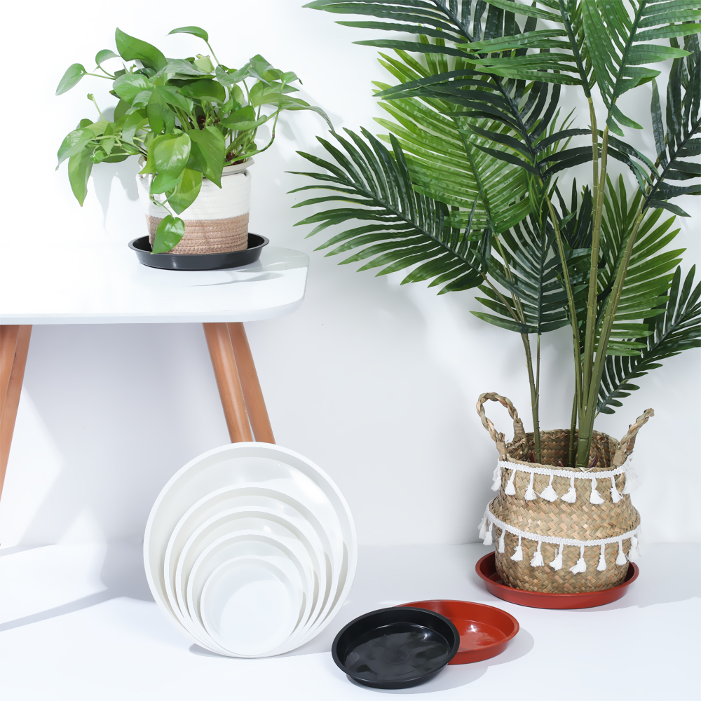 3Pcs Plant Saucer 4/6/7/8/10 i - Drip Tray Saucer のレビューと価格