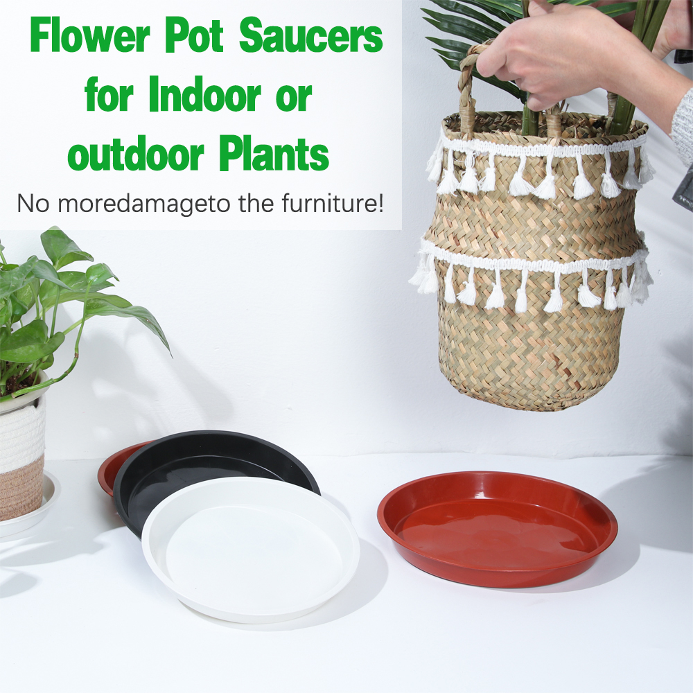 3Pcs Plant Saucer 4/6/7/8/10 i - Drip Tray Saucer のレビューと価格