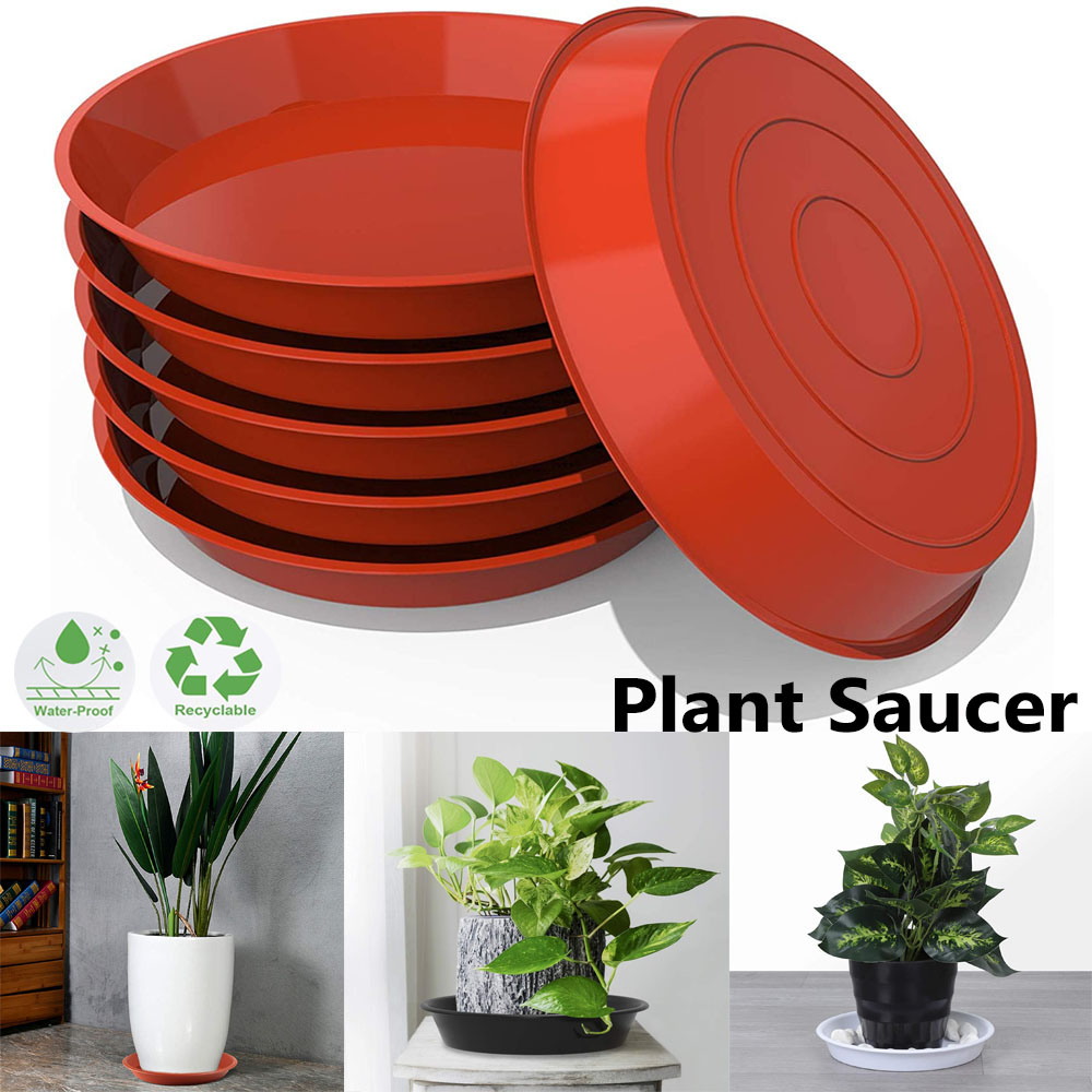 3Pcs Plant Saucer 4/6/7/8/10 i - Drip Tray Saucer のレビューと価格