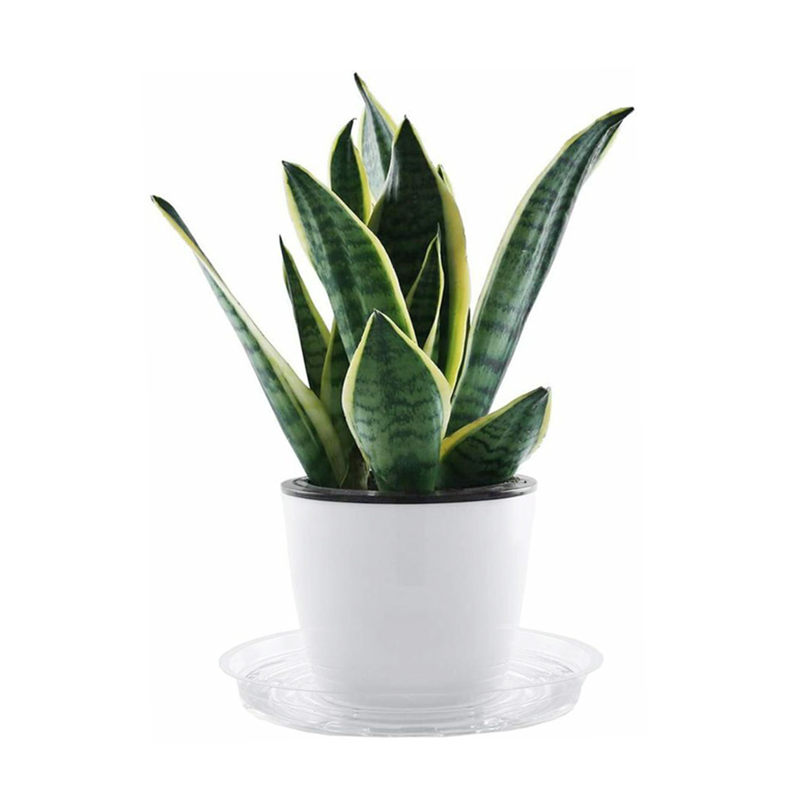 10pc Garden Plant Saucer Drip  - Drip Tray Saucer のレビューと価格