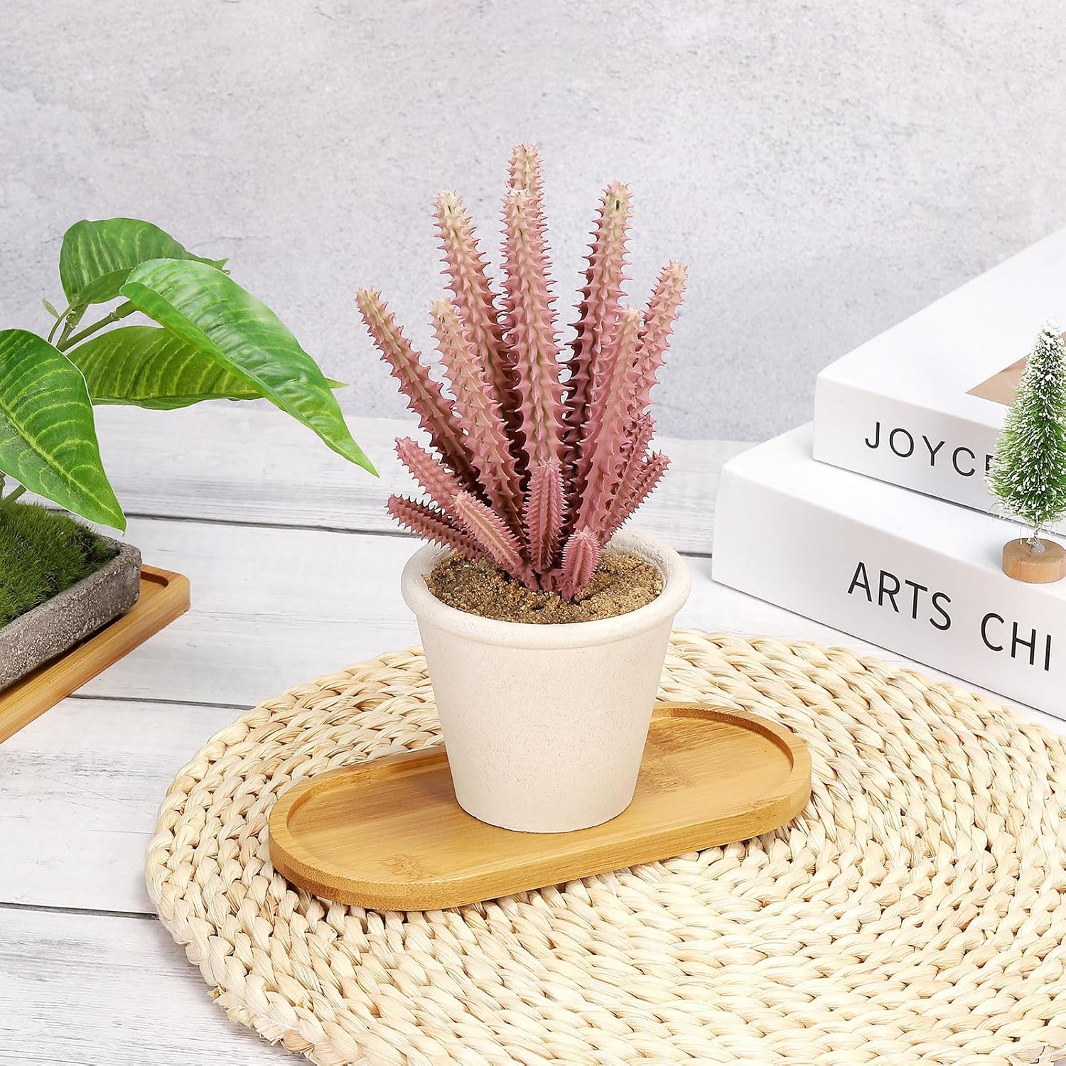 4pcs Bamboo Plant Saucer Oval  - Drip Tray Saucer のレビューと価格